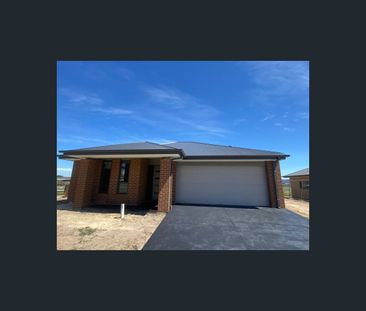 2 Grist Grove, Traralgon, Vic 3844 - Photo 3