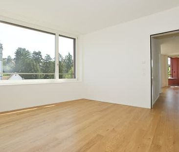2.5 Zimmer, 49 m², 4. Stock - Photo 6