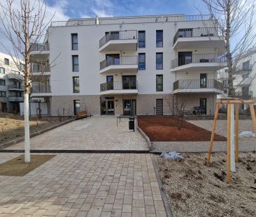 Weltoffenes und zeitgeistiges Architekturprojekt! OPEN HOUSE am 23.... - Photo 2