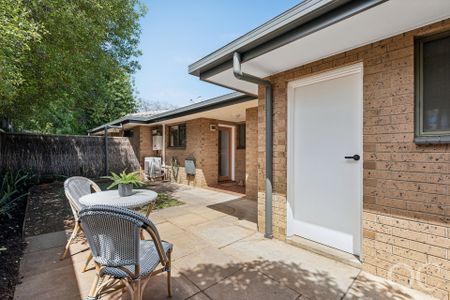 Open The Door To Light-filled Living - Photo 3