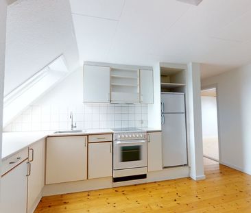 Indbydende lejlighed i hjertet af Aalborg med nærhed til natur - Photo 3