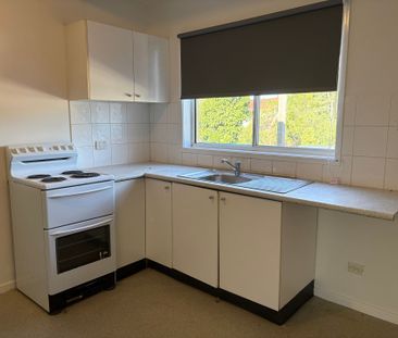 Spacious One Bedroom Unit - Photo 4