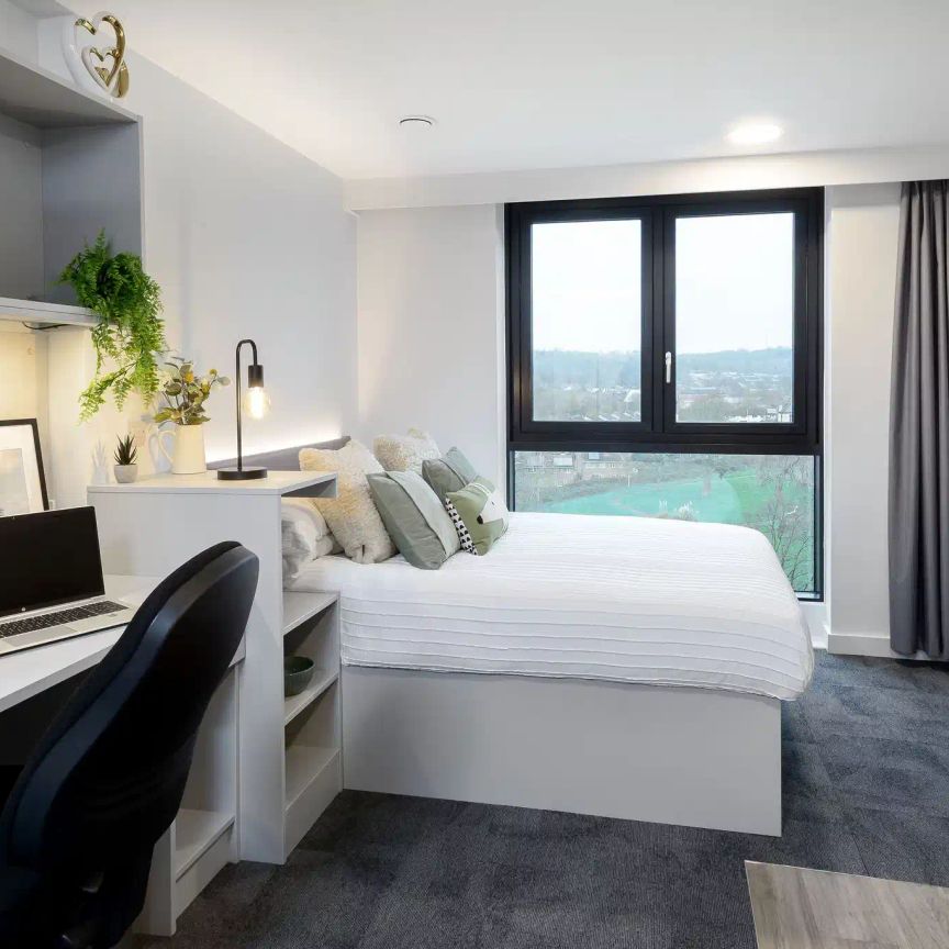 True Studio Plus - Photo 1