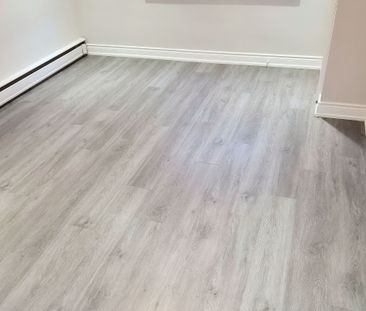 For Lease - 15 Castille Avenue Unit# Main Level, Toronto, Ontario - Photo 4