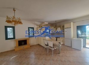 Μονοκατοικία για ενοικίαση - Ραφήνα, - Photo 1