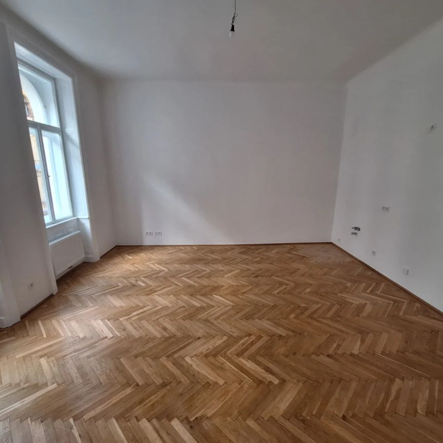 Sanierte Altbauwohnung Nahe Alois-Drasche-Park in ruhiger Lage unbefristet - Foto 1