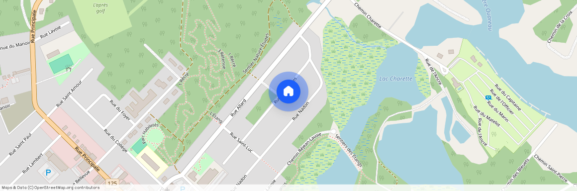 573 Rue des Érables, Saint-Donat (, Lanaudière, ), J0T2C0