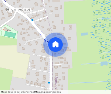 Wynajmę dom - Hryniewicze - Photo 1