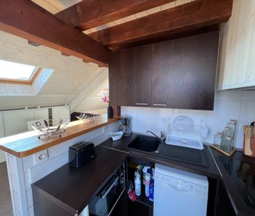 Location Appartement 1 pièce 18m² AIX LES BAINS 73100 - Photo 5