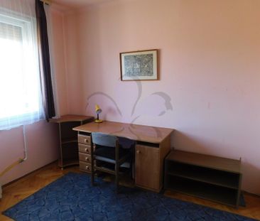 Two rooms flat in the Big Forest - Fotó 6