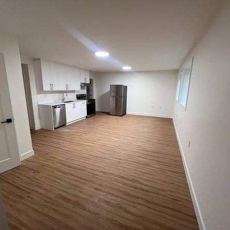 2 bedroom brand new basement suite North Delta - Photo 4