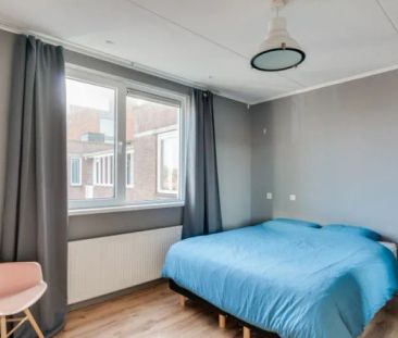 Kreekwaard - Photo 3