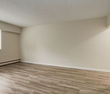 1 Bedroom - Photo 3