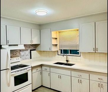 For Lease - 26 Kenton Drive, Toronto, Ontario - Photo 6