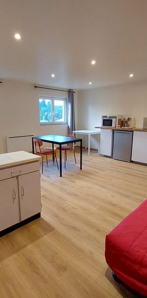 Location Appartement 1 pièce 26m² BELLEY 01300 - Photo 2