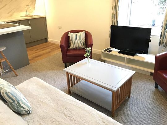 1 bedroom flat to rent - Photo 1