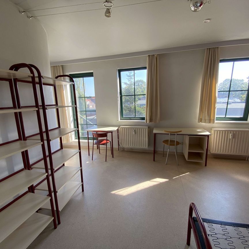 Grote (+- 31m2!) studentenstudio te huur in centrum Leuven - Foto 1