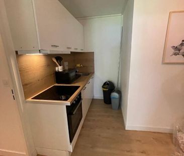 70m² All inclusive 3 chambres Campus/Université - Photo 3