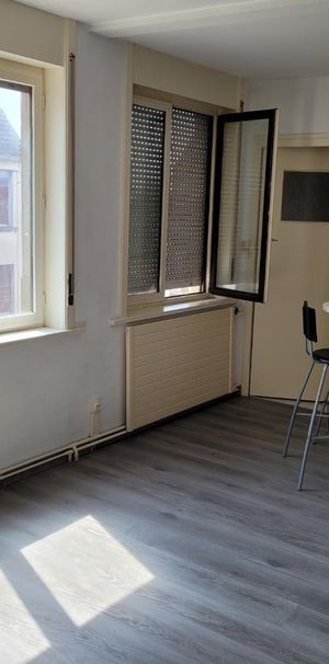 Location Appartement 1 pièce 24m² HAZEBROUCK 59190 - Photo 1