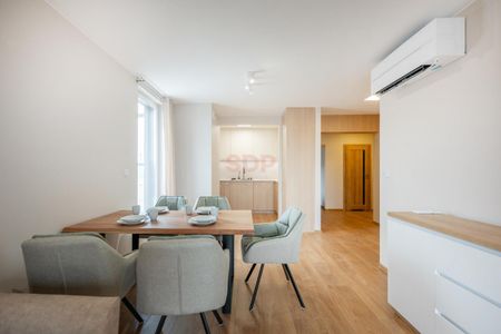 NOWA CENA, w centrum, pierwszy najem, gotowe - Zdjęcie 5