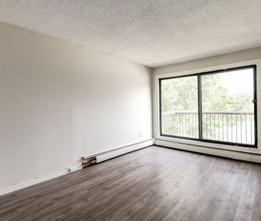 Renovated Suite - 1 Bedroom - Photo 2
