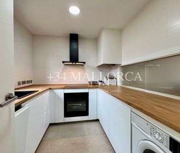 Palma de Mallorca, Mallorca - Photo 5