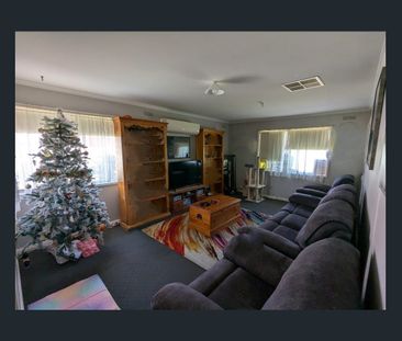 Court Living with Large Shed - Photo 1