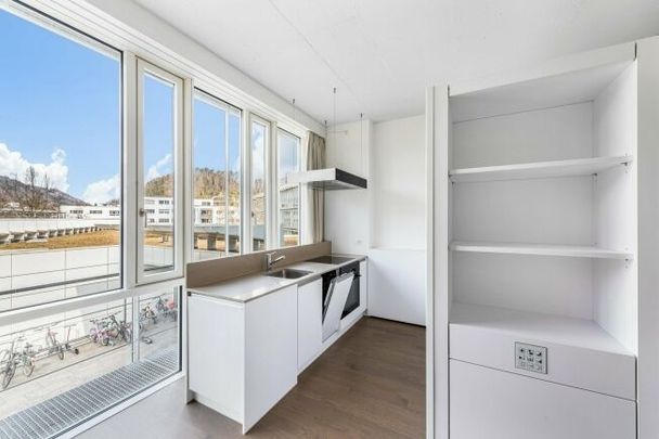 Living in Sihlhof 2 - Attention singles - Photo 1