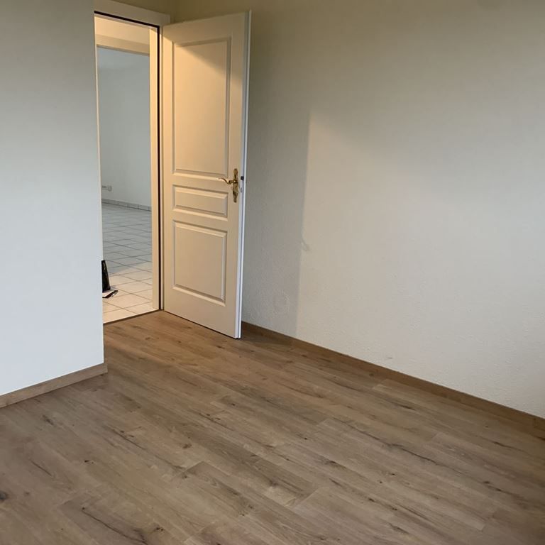 location Appartement 2 pièces à Colmar - REF 1643-IB - Photo 1