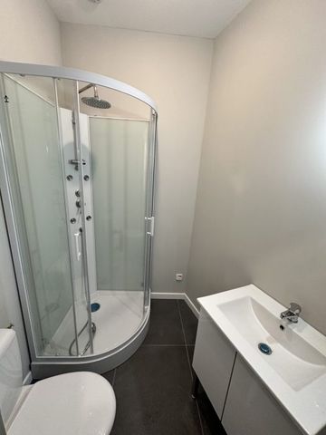 appartement entierrement renové aux dernieres normes - Photo 4