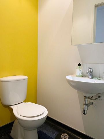 Central Auckland 1BR Fully Furnished - Photo 4