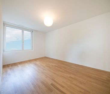 "Hier endet Ihre Suche!" - Foto 2