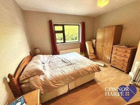 230 Barony Road, Creggan, Omagh, BT79 9AQ - Photo 4