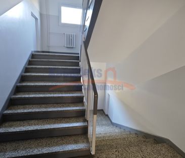 Kijewo, ul. Tarpanowa, Szczecin - Фото 2