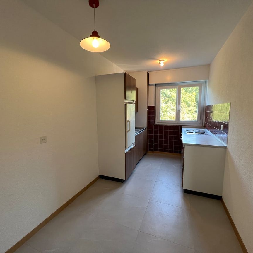 2.5 Zimmer, 57 m², 1. Stock - Foto 1