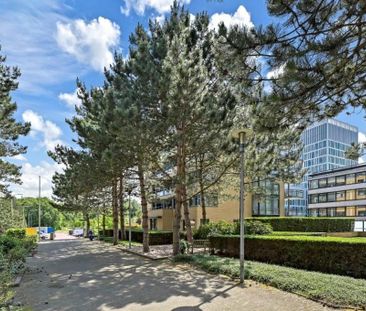 Te huur: Appartement Jan Willem Frisohof 52 in Den Haag - Foto 1