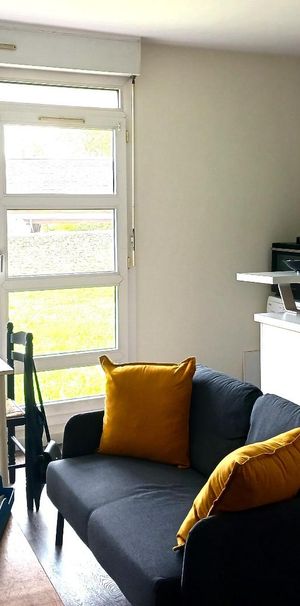 Location Appartement 1 pièce 32m² BLOIS 41000 - Photo 1