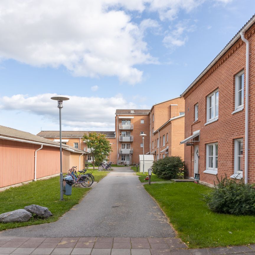 Mjölkvägen, Umeå - Photo 1