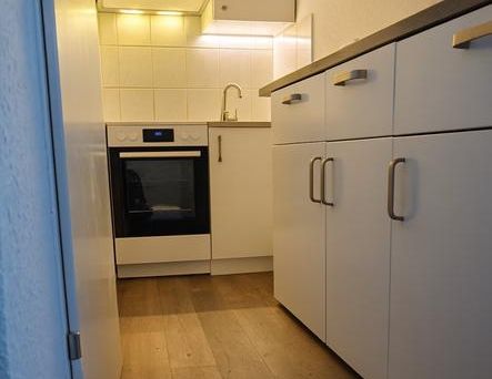 Hochwertig sanierte Wohnung mit großem Balkon & Stellplatz - Foto 1