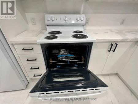 41 PAISLEY GREEN AVENUE - Photo 3