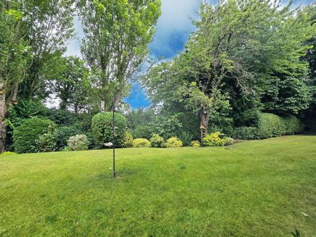 1 bedroom maisonette to rent - Photo 5