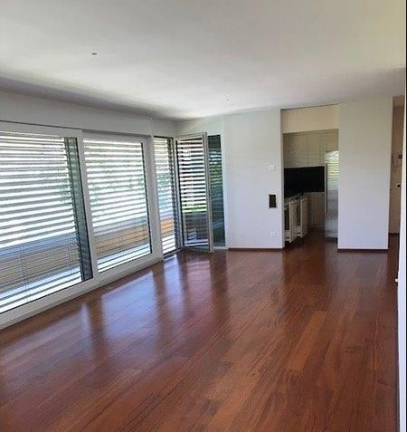 Collina d'Oro-Montagnola, appartamento 4.5 locali di mq 140 - Foto 2