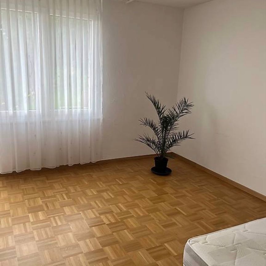 1 Zimmer, 26 m² - Photo 1