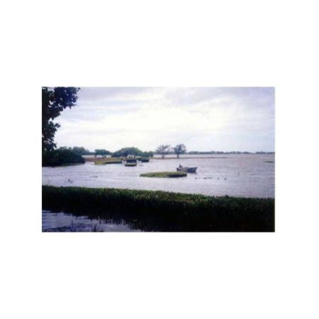 Absolute Beachfront ! - Photo 4