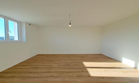 3 Zimmer, EG - Photo 2