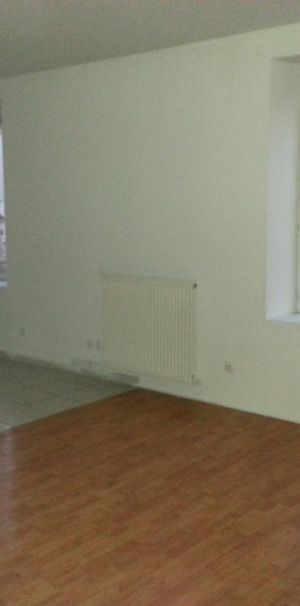 Location Appartement 3 pièces 66m² REMIREMONT 88200 - Photo 1