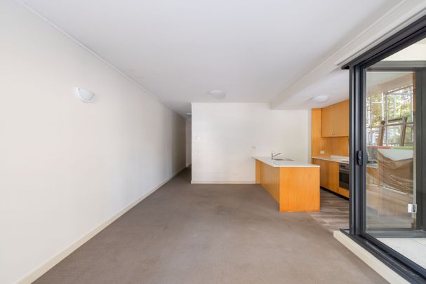 5/1 Boronia Street, Kensington NSW 2033 - Apartment For Rent | Domain - Photo 1