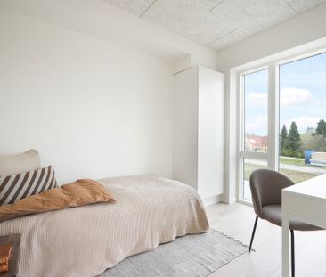 3-vær. lejlighed - Photo 5