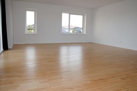 Møgelparken - Photo 3