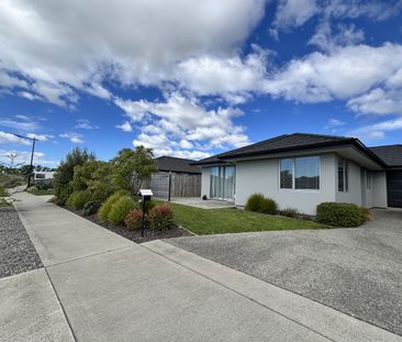 25 Bedfont Street, Richmond, Nelson - Photo 6